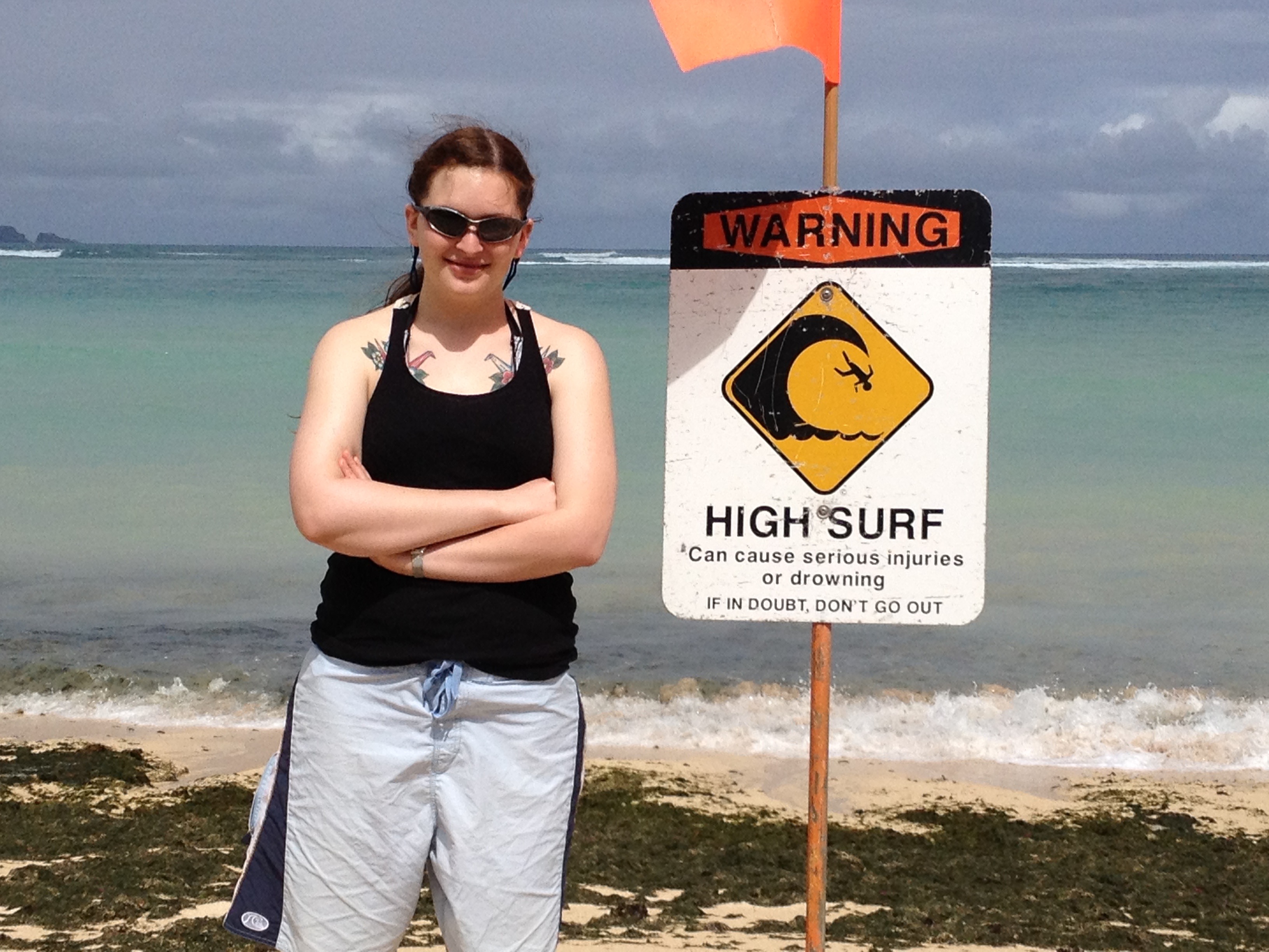 Sign - High Surf on Maui